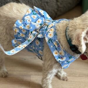 Dog Dress/Harness w/ Matching Leash - Large